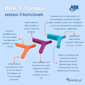 Small_Y-Tongue-infografika